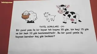4. ve 5.sınıf tatil soruları -14-  @okulcu   #4sınıf #matematik