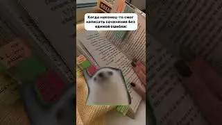 #егэ