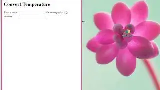Solution of CS101 Assignment 3