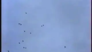 Жанна Бичевская