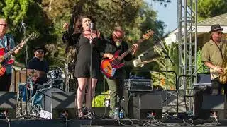 Music for the Revolution Festival 2017 Highlights - Casey Hensley Band