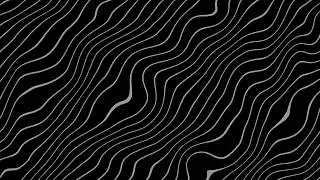 Gray Wavy Line Background Animation | Black Screen | 4K Seamless Loop