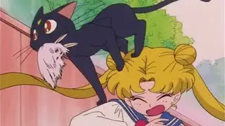 Chanela & Chris Mayek [Interview Part 1] | Moon Star: A Sailor Moon Podcast