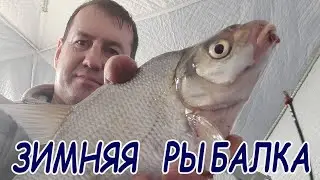 Fishing for bream in winter at the Voronezh reservoir