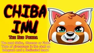 Chiba Inu / Low Mcap