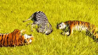 Planet Zoo is a Masterpiece and this Video Proves it - Planet Zoo