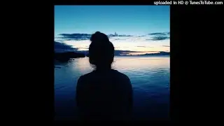 Schiller - I Feel You (.Remix)
