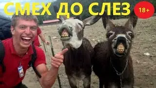 9 МИНУТ СМЕХА ДО СЛЁЗ:🤣🤣🤣ЧУДИКИ ИЗ ТИК ТОК:ВЕРТИКАЛЬНЫЙ ФОРМАТ