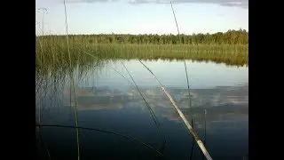 Удилища конца эпохи СССР