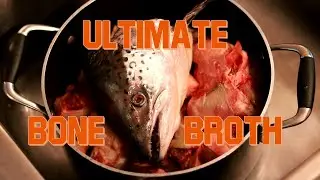 How to Make the Ultimate Homemade Bone Broth for Your Dog or Cat