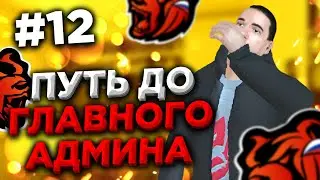 ПУТЬ ДО ГЛАВНОГО АДМИНА #12 БЛЕК РАША / BLACK RUSSIA / БЛЭК РАША