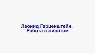 Леонид Гарценштейн.  Работа с животом
