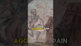 What Would Happen If You Caught The Black Death? 