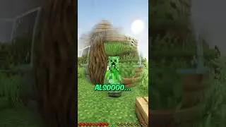 Holt euch NIE einen HAMSTER in MINECRAFT!... 