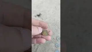 Плажной коп с детекторам DEUS 2 в Болгария, Чернова море-Солнечном берег