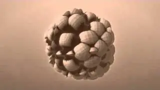 we breakdown ( fractal edit )