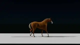 Animating Horse Walk Cycle