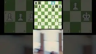 BRILLIANT 💎 #rooksacrifice  #brilliantmove #chessbrillantmoves  #queensac  #chessfork