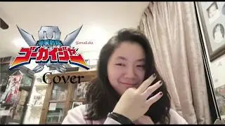 Kaizoku Sentai Gokaiger opening [cover]