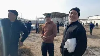 ХАЗОРАСП ЕМ ХАШАК НАРХЛАРИ КАНДАЙ БУЛЯПТИ 24.МАРТ