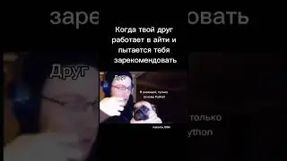 Солидарность программистов #программирование #айти #айтишник #войтивайти #программист