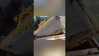Натуральный мёд для вас.