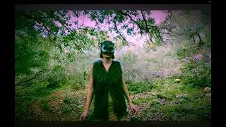 Milan Gudzik - chasing an owl (feat. Ira Kremer)