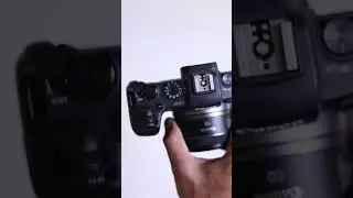 EOS RP and RF50mm f/1.8 STM Combo!