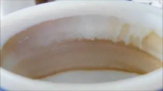 Micromondo domestico