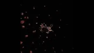 Flesh Cube Explosion
