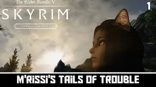 Skyrim Quest Mods: M'rissi's Tails of Troubles - Part 1