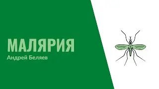 16. Малярия