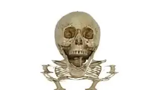 missed christmas 💀