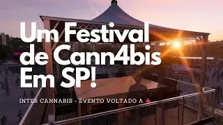 Fui em um Festival de CANNABIS em São Paulo! InterCannabis 2024
