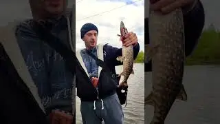 Воблер для щуки от Pontoon 21
