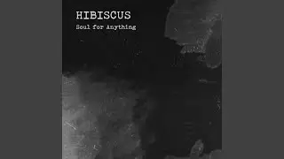 Soul for Anything