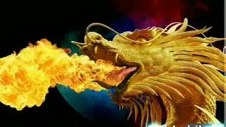 Dragon whatsapp status video