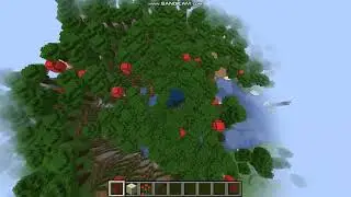 Mushroom Island in a OAK forest