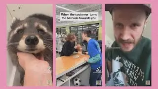Tiktoks I sent to my sister-