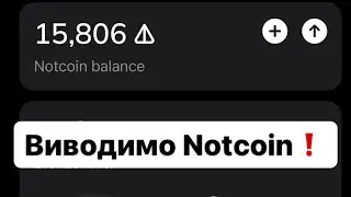 💫Як вивести Notcoin на біржу? Лістинг 16.05!