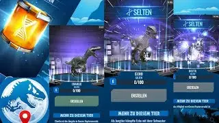 Raptor-Trio + 24H Box | JurassicDay #10 JurassicWorld:Alive (DE/HD)