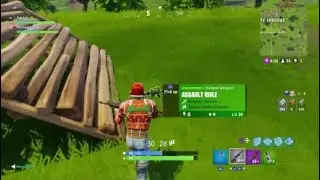 Fortnight Duo win with teamgohan