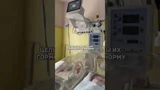 Многодетная семья в Аргентине 🌎 живем свою лучшую жизнь и делаем счастливыми сотни тысяч детей