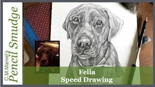 Pencil Smudge Speed Drawing of Fella