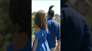 Glass blur effect 