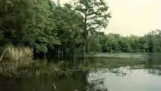 Swamp Blues (Slide/bottleneck)