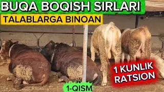 BUQA BOQISH SIRLARI, 1 KUNLIK RATSION 😱
