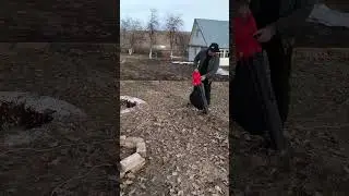 Воздуходувка на дачу.