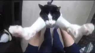 Мимимишные обнимашки