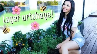 Hage - Lager min egen urtehage!